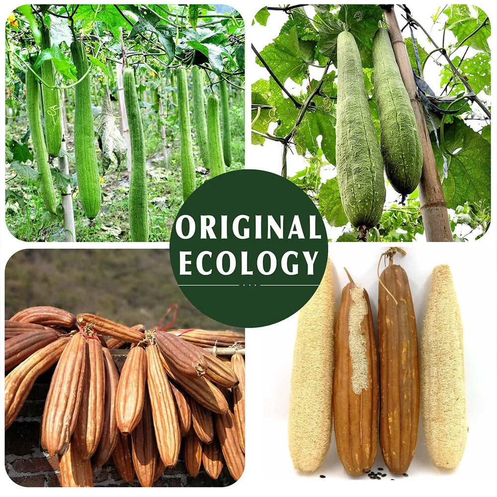 6 pieces, 3 pieces, 1 piece of loofah sponge bath towel - loofah bath towel - essential tool for home bathing